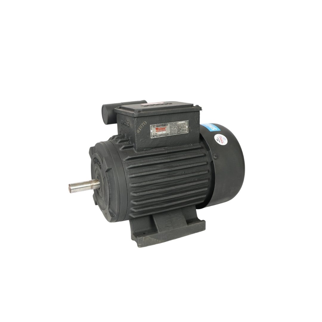 Winto Induction Motor